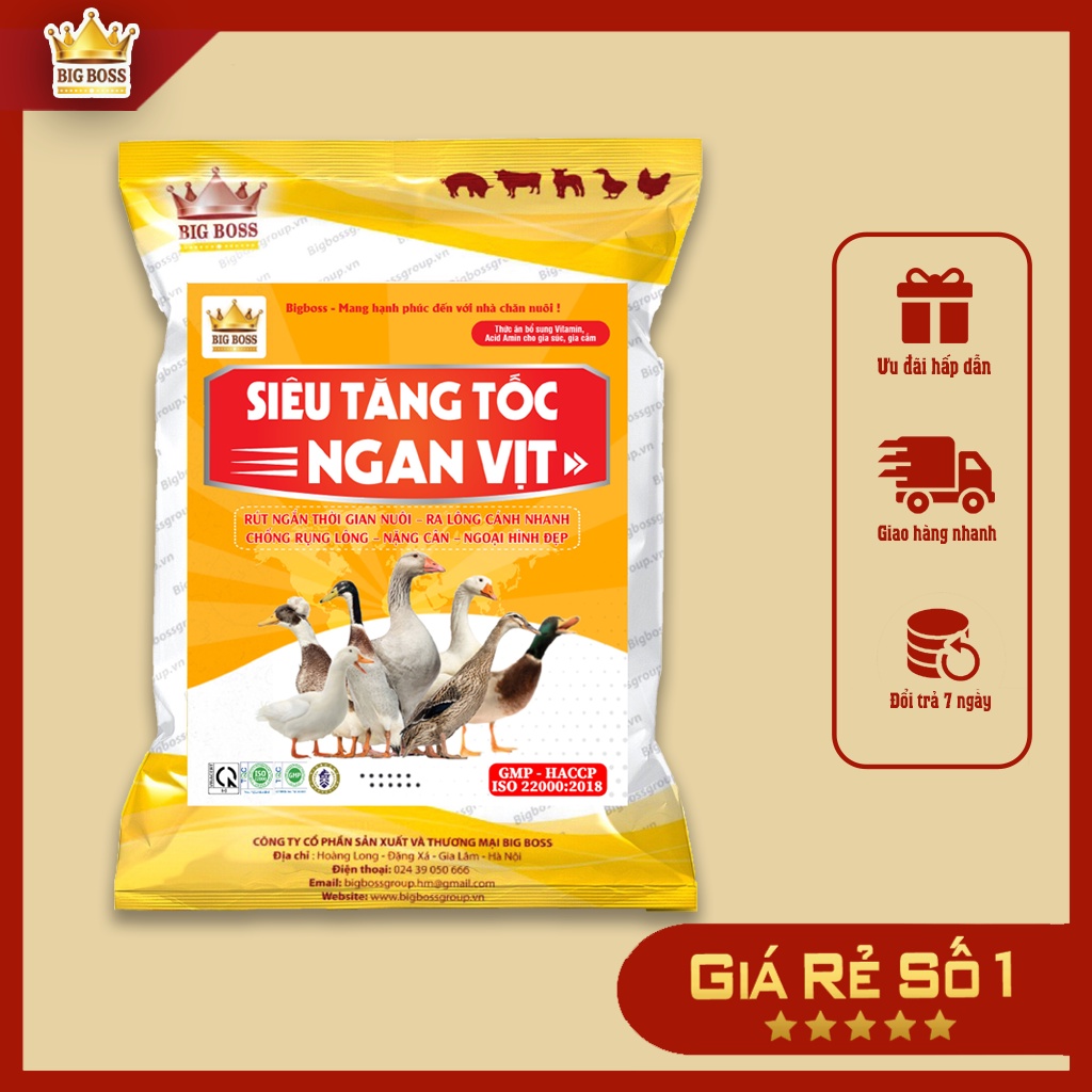 Vỗ béo vịt ngan - Siêu tăng tốc ngan vịt