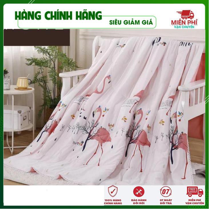 Chăn Siêu Nhẹ - CHĂN MUJI MÙA HÈ THU CHẦN BÔNG KÍCH THƯỚC 2M X 2M3 - Gia Dụng Thông Minh