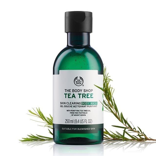 ☘️☘️ Shiseido.nhatban☘️☘️Sữa Tắm Tea Tree The Body Shop 250ml Hàng Chuẩn