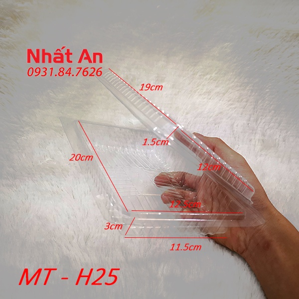 Hộp nhựa trong nắp gặp hình chữ nhật MT - H25