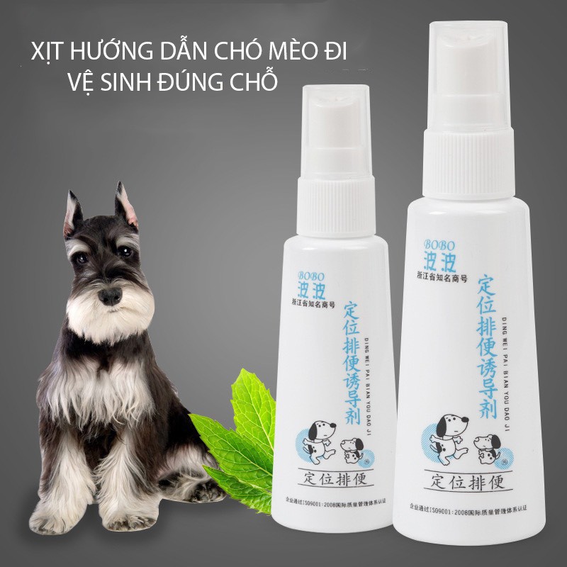 Dung dịch xịt hướng dẫn chó mèo đi vệ sinh đúng chỗ