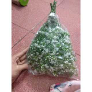 combo hoa nhựa