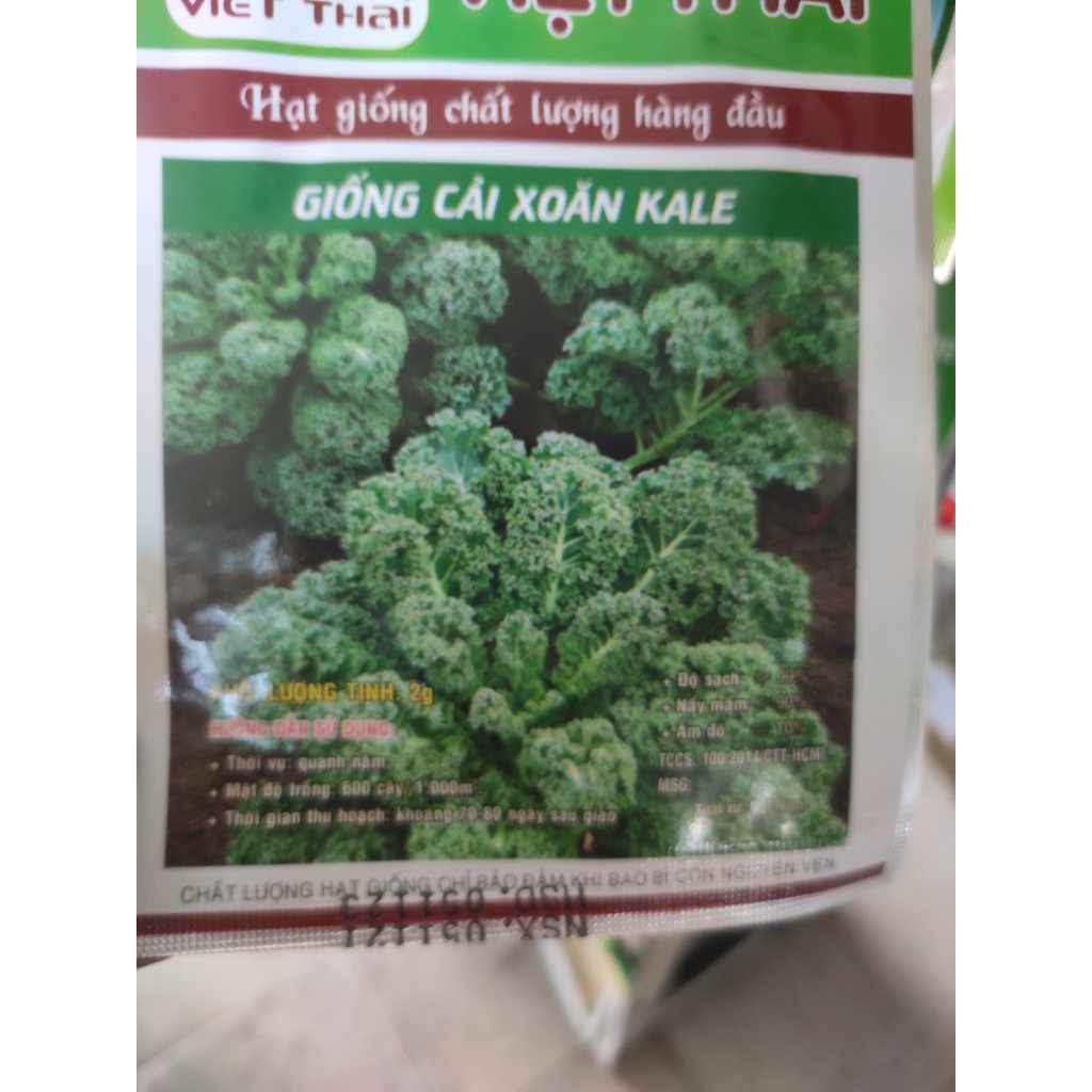 hạt giống cải xanh xoăn kale-Hạt giống Rau Cải Xoăn Xanh Kale dễ trồng, năng suất cao