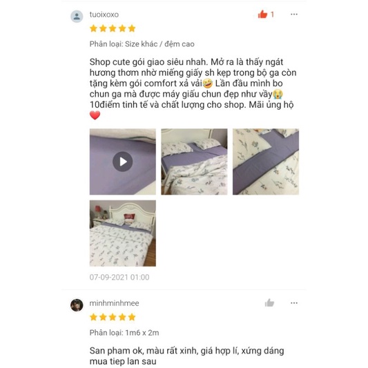 Bộ chăn ga gối cotton organic nhập khẩu hoa tím lavender Dreamhome