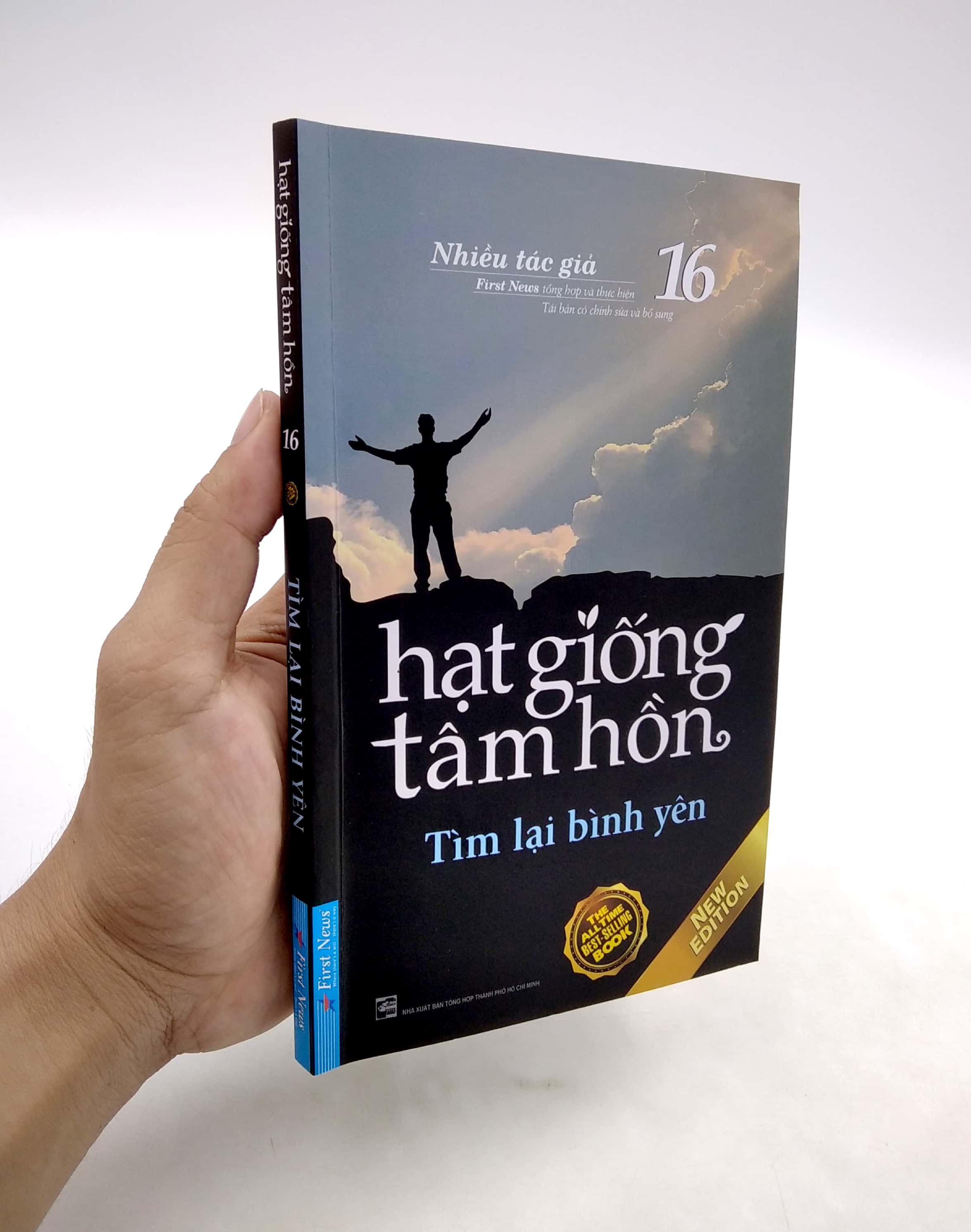 Sách Hạt Giống Tâm Hồn - Tập 16: Tìm Lại Bình Yên (Tái Bản 2020)