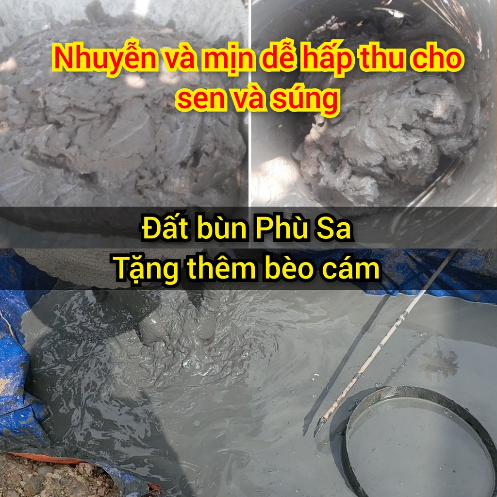 5kg đất bùn trồng sen súng loại đất phù sa bảo đảm tốt cho sen súng.