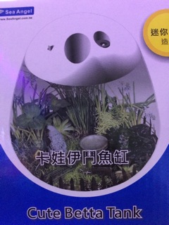 Hồ cá Betta mini