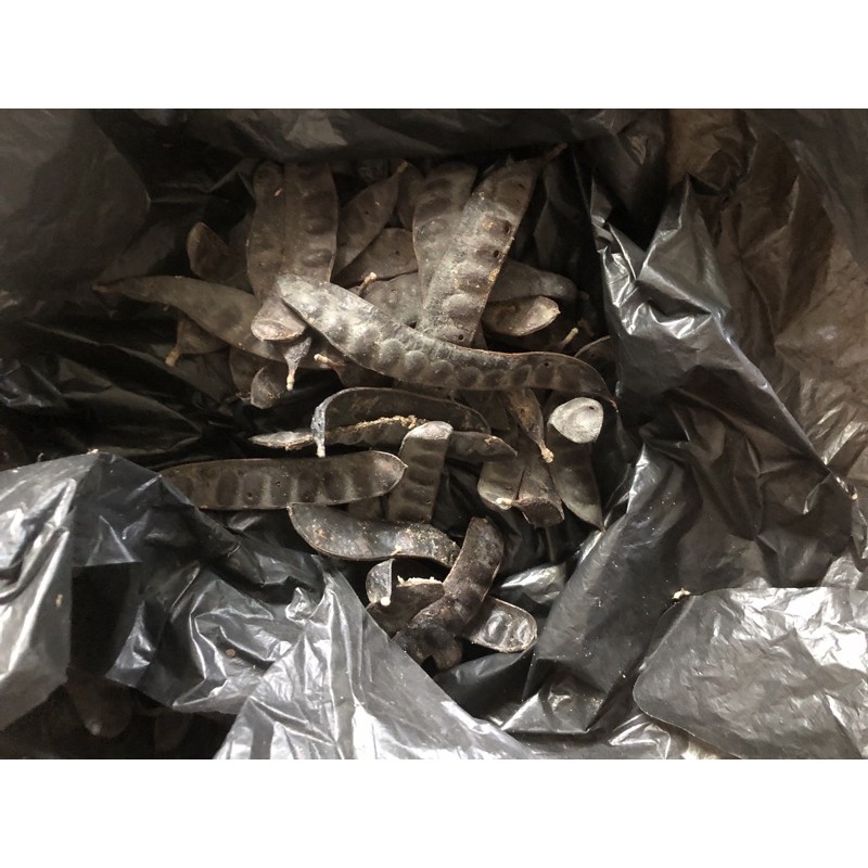 quả bồ kết khô 2kg 120k