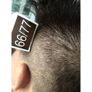 màu nhuộm phủ bạc