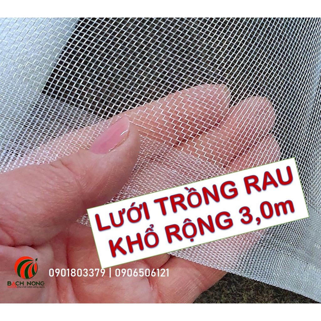 Lưới Ngăn Côn Trùng 32 mesh - Ngăn Bọ Trĩ