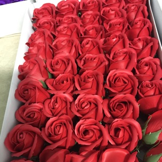 50 BÔNG HOA HỒNG SÁP