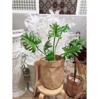 CÂY GIẢ-CÂY CHÂN VỊT 45CM KÈM CHẬU