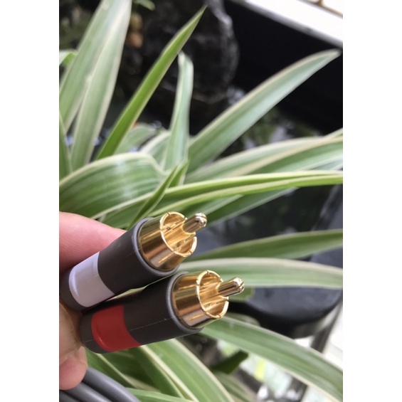 Dây tín hiệu dây Belkin Đức 3.5 ra AV dài 2m chất lượng cao