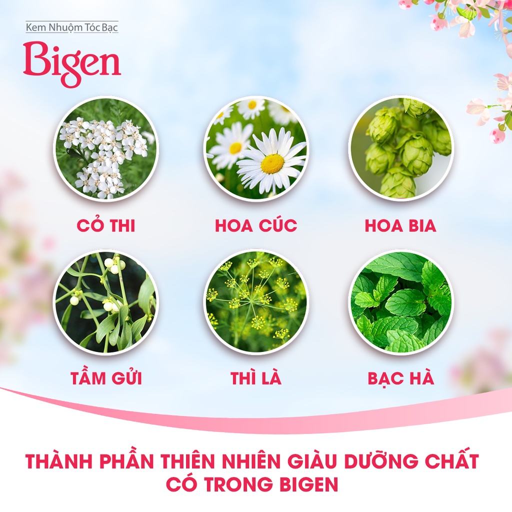 [Nhuộm tóc nội địa Nhật] Combo 2 hộp thuốc nhuộm phủ bạc Bigen Nhật nhập khẩu Nhật Bản 80ml/ hộp dạng kem