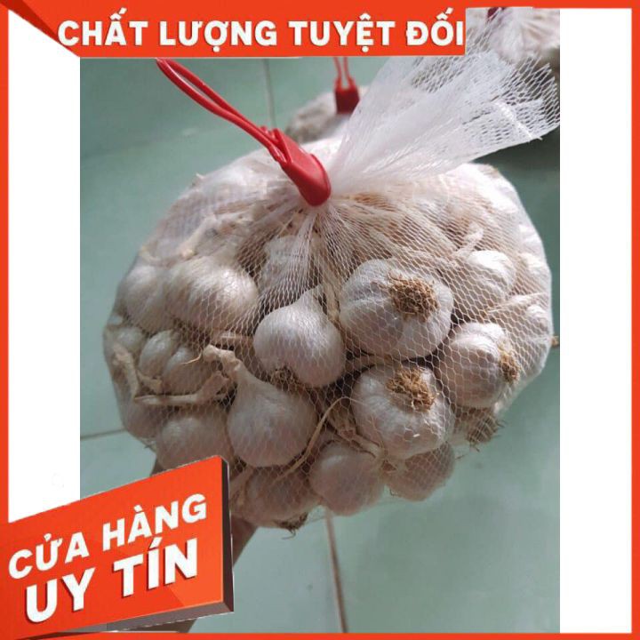 Combo 1kg hành + 1kg tỏi lý sơn chỉ 110k | BigBuy360 - bigbuy360.vn