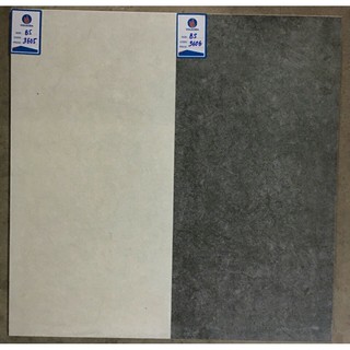 Gạch ốp tường Viglacera BS3606 - 30x60