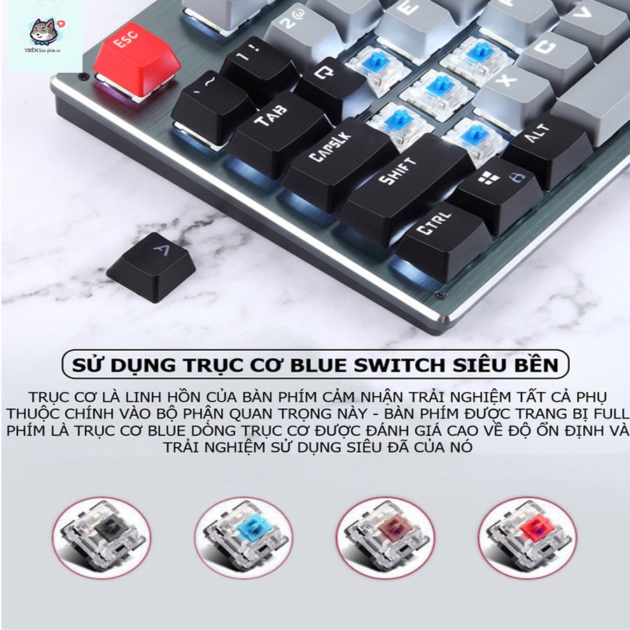 Bàn phím CƠ Bluetooth Không Dây Pin Sạc K950 LED đẹp, phím blue switch cho máy tính pc laptop, điện thoại, máy tính bảng