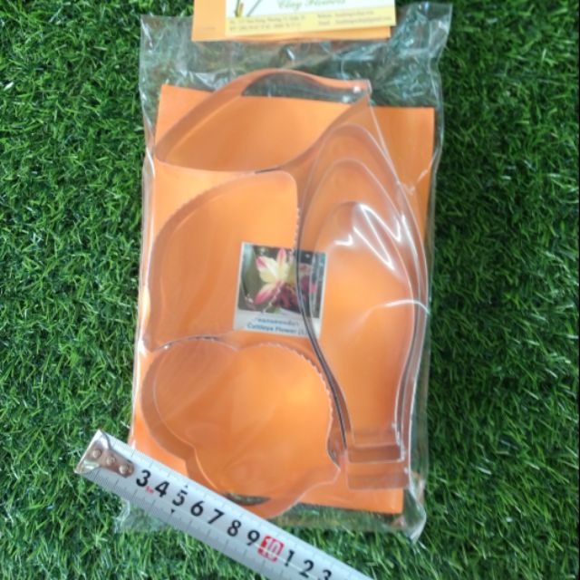 KHUÔN LAN HOÀNG HẬU ( XL)