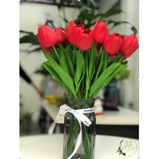 Hoa Tulip lá thắng