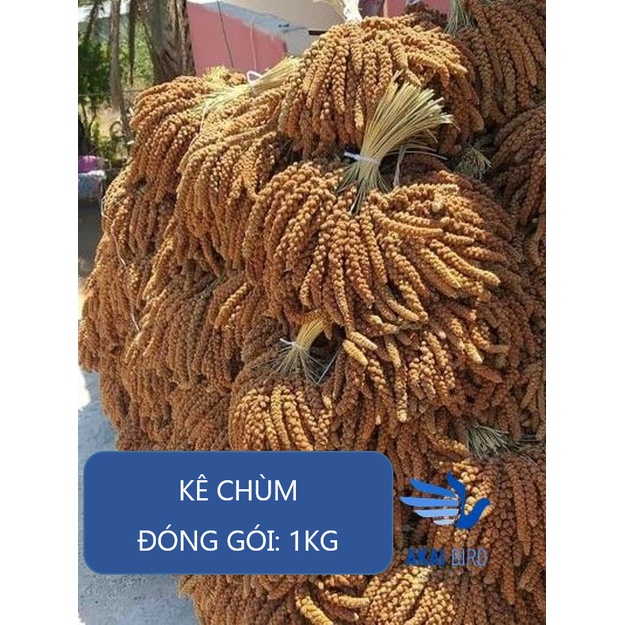 [1KG] Kê Chùm Cho Vẹt, Chuột Hamster, Sóc - Chất Lượng Cao