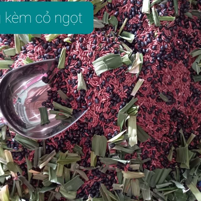 Kho Sỉ Trà Thiên Nhiên