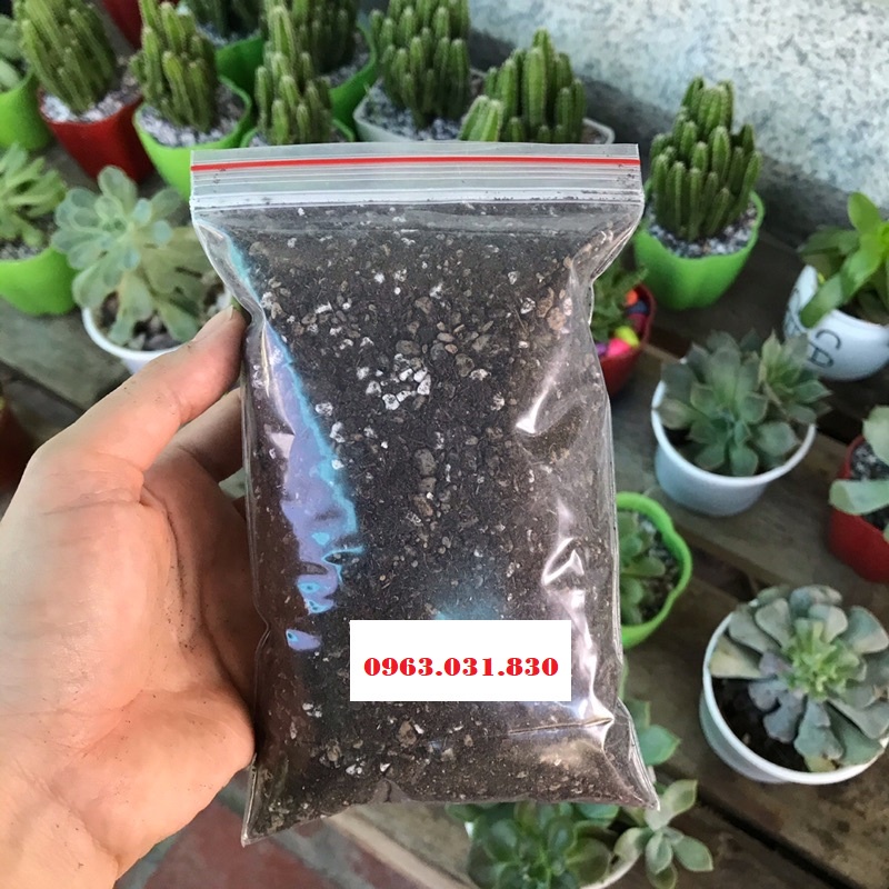 Đất trồng Giá thể tròng xương rồng và sen đá Soil mix gói 500gr