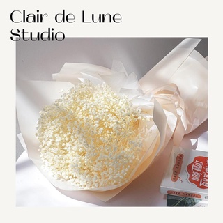 🌸FREE SHIP🌸Hoa Baby Khô🌸Gypsophila🌸 Decor VIntage, Chụp Ảnh