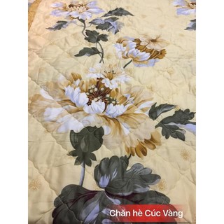 Thanh lý chăn hè