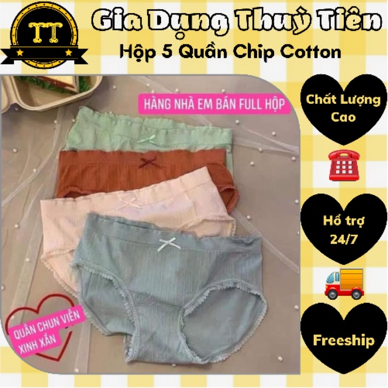 Hộp 5 quần chip cotton