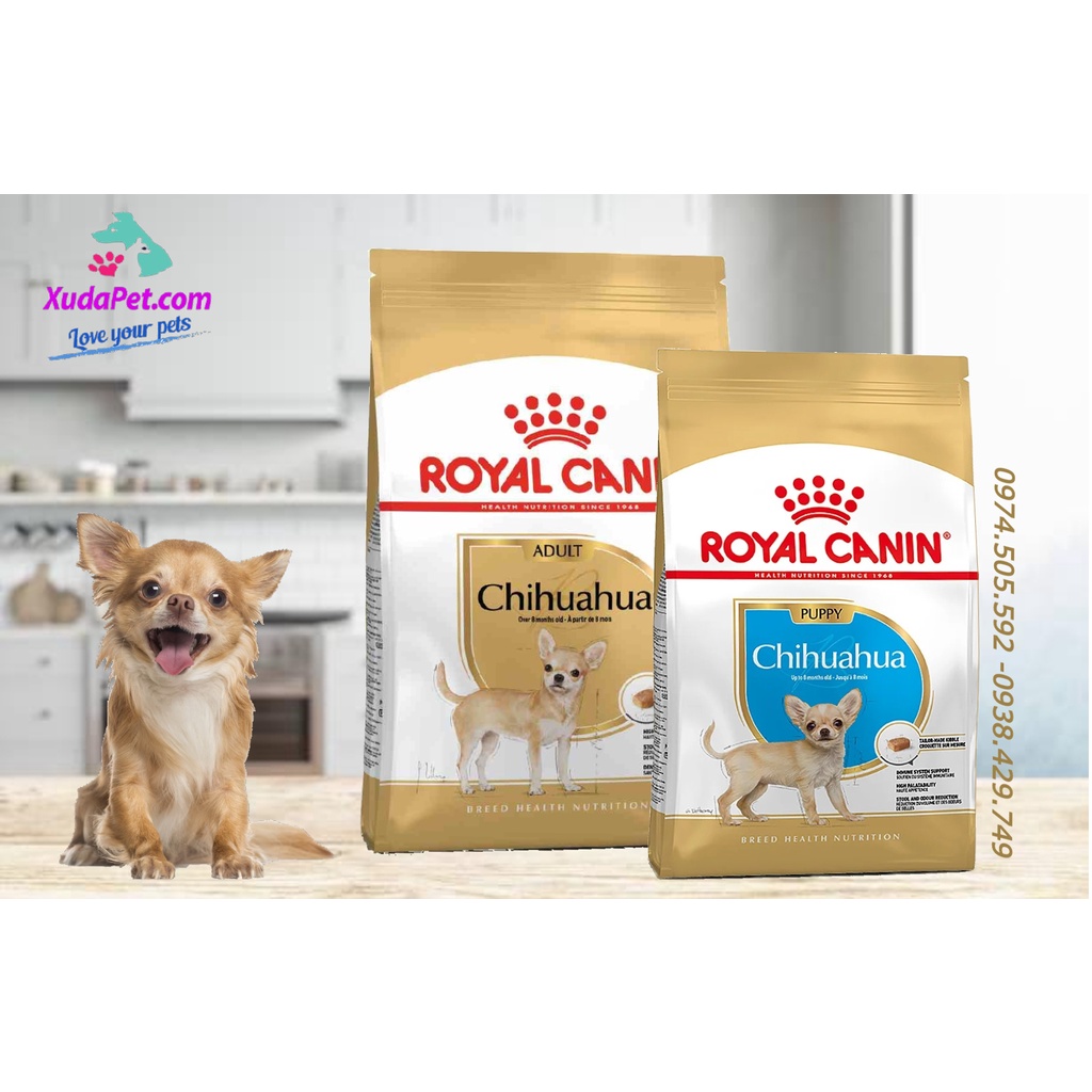 THỨC ĂN HẠT ROYAL CANIN CHO CHÓ CHIHUAHUA - SP000429