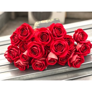 Set cánh hoa đỏ nhung 2 mặt - giấy mỹ thuật