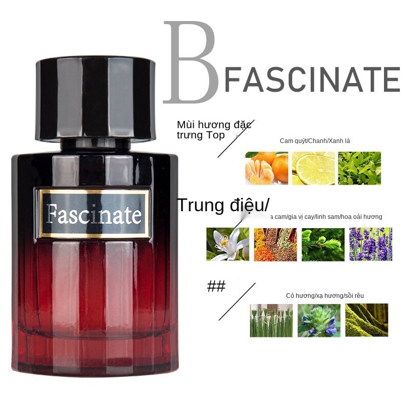 Nước hoa nam hương thơm lâu trôi thu hút người khác phái