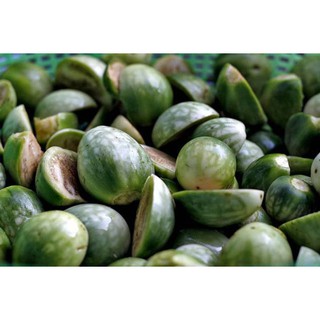 Hạt Giống Cà Dĩa