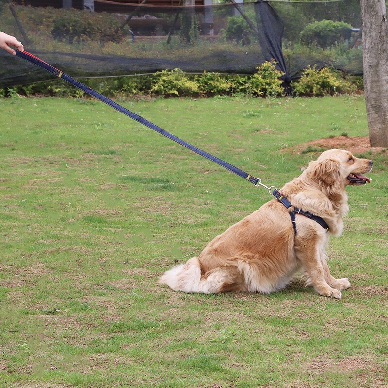 Dây Dắt dành cho chó/Mèo - Size to và nhỏ