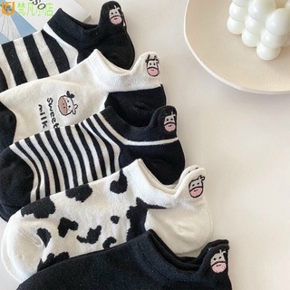 Tất bò sữa sét 10 đôi