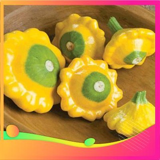 Hạt Giống Bí Đĩa Bay - 10 Hạt VIETGAR