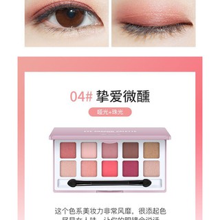 Phấn Mắt Lameila 10 ô tone đẹp [ẢNH THẬT]