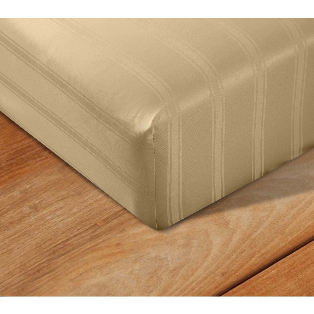 Bộ Ga và Chăn chần bông Ai by AKEMI Colourdream Tamaya, 5 món (King/Queen)