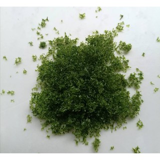 Rêu giả loại 1