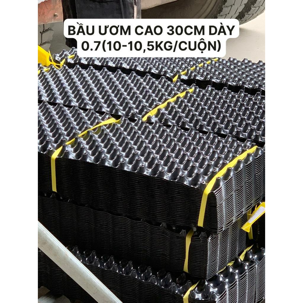 50M BẦU ƯƠM V6 CAO 30CM DÀY 0.7 HÀNG LOẠI 1 (10-10,5KG/CUỘN)