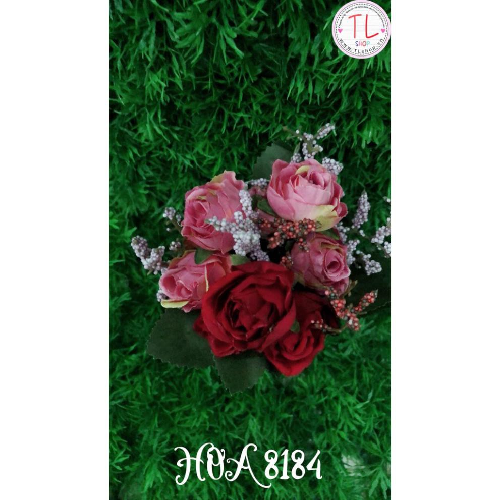 Chậu hồng đỏ nhỏ xinh