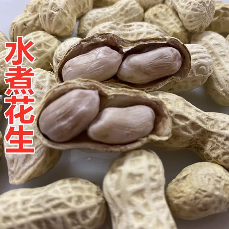 [ Giòn thơm ] Đậu phộng (Lạc ) phơi 1 nắng tẩm vị sấy giòn nguyên vỏ hiệu Long Yan ( gói 210gr ) ăn vặt đã nghiền