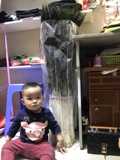 Lông công phong thuỷ
