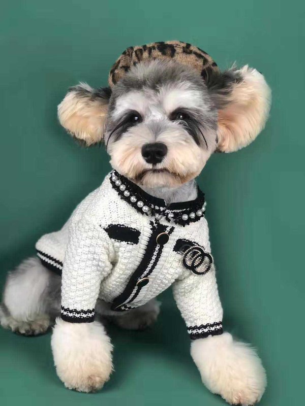 Áo khoác sweater phong cách mùa xuân cho thú cưng