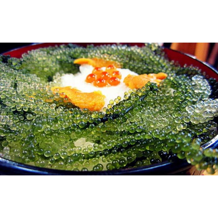 Rong Nho Tách Nước Khánh Hoà 100Gr - Cô Lê Ba [FREESHIP] - Công Nghệ Tách Nước Tiêu Chuẩn Nhật Bản | BigBuy360 - bigbuy360.vn
