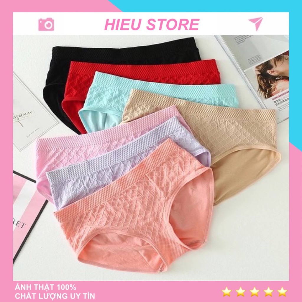 Combo Quần Lót Nữ Cotton Dệt Kim Mềm Mại Thoáng Mát, Giãn 4 Chiều Thấm Hút - 8104