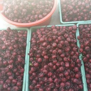Siro hoa atiso đỏ Handmade 1kg