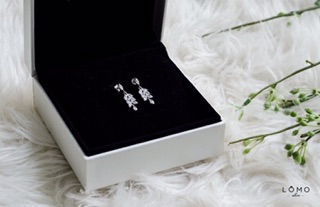 Crystal Earrings