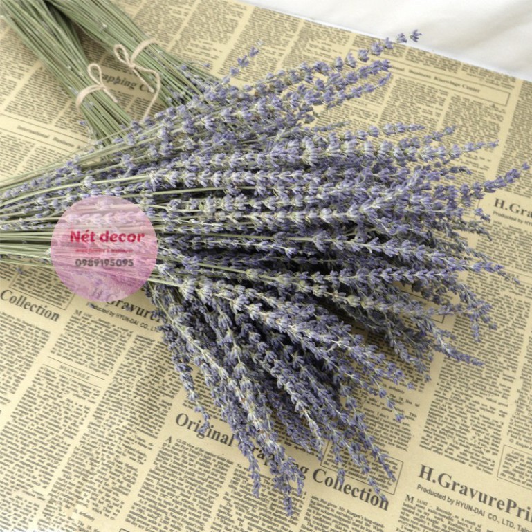 Bó hoa Lavender ( hoa Oải Hương ) khô tự nhiên