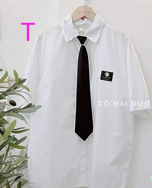 Sơ mi logo hoa cúc nhỏ kèm cà vạt TTB889